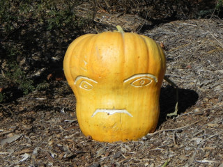 2012 Alien, Nipomo Pumpkin Patch best carving idea